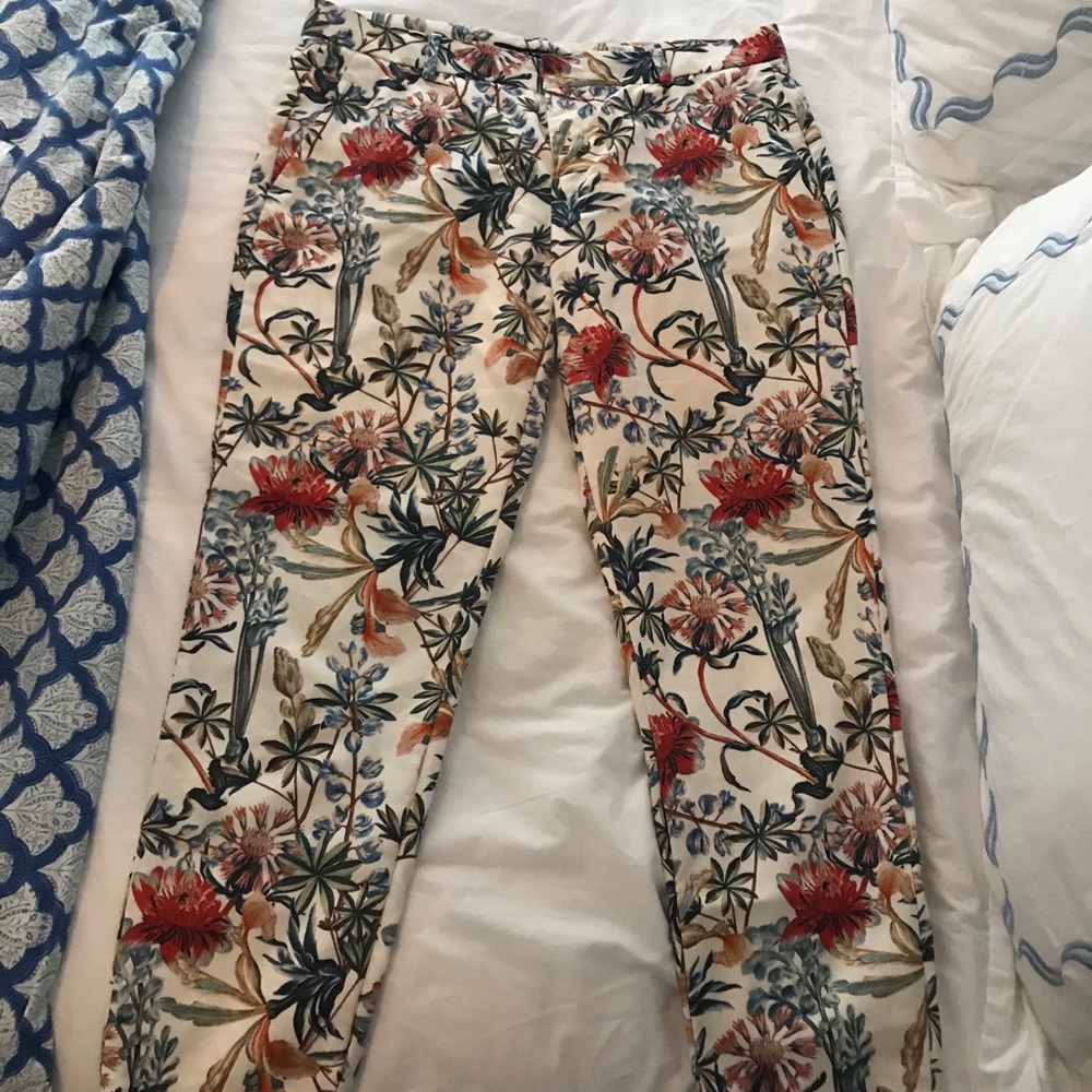 Zara Pants